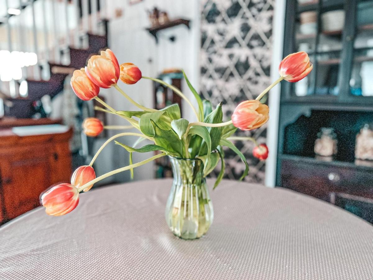 Capricorn House Oak Bluffs Ngoại thất bức ảnh